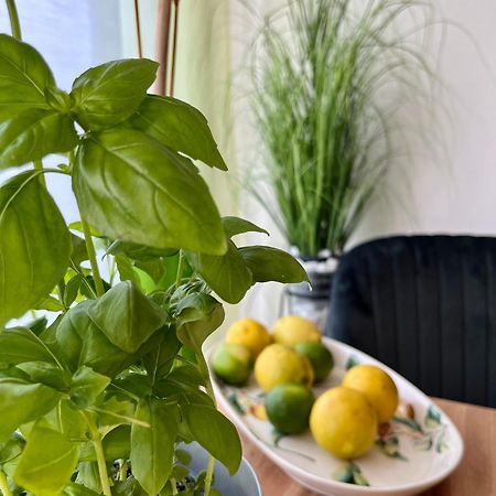Luxurious City Apartment Incl Garage And Terrace Wien Exteriör bild
