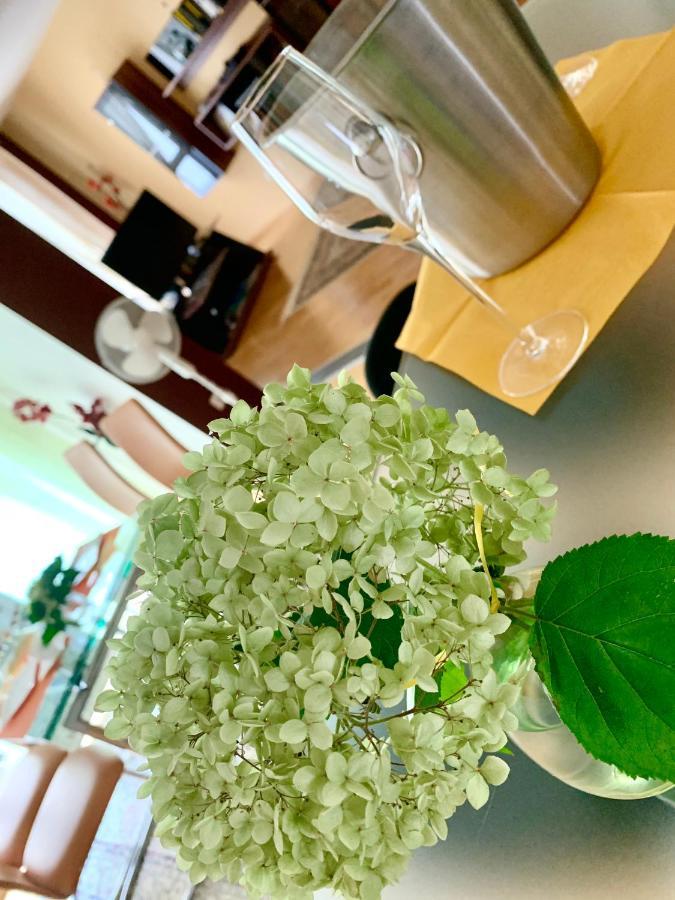 Luxurious City Apartment Incl Garage And Terrace Wien Exteriör bild