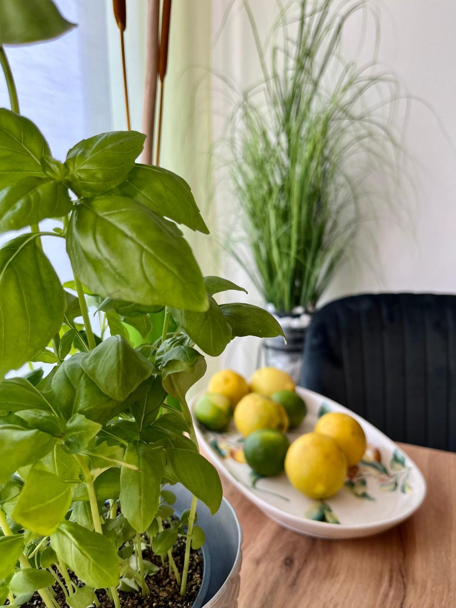 Luxurious City Apartment Incl Garage And Terrace Wien Exteriör bild